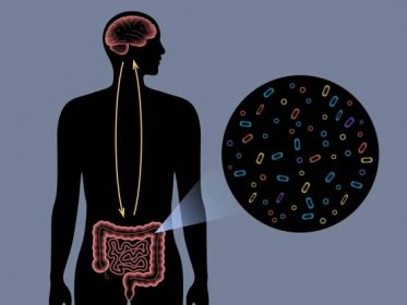 Graphic showcasing the mind-gut connection. 