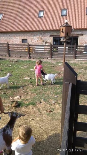 Výlety kolem Olomouce s dětmi..., Tipy na výlet