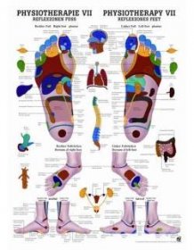 Rudiger Anatomie Reflexní zóny na nohou, 50 x 70 cm