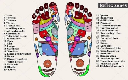 Stáhnout - Akupunkturních bodů na chodidlech. Reflexní zóny na nohou. Akupunktura. Čínská medicína. — Ilustrace