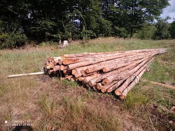 ForesTrade: Prodejní jednotka číslo 72023 - 157