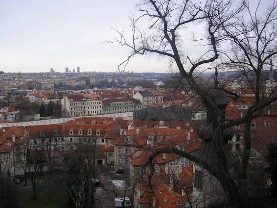 panorama