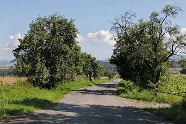 Soubor:Semechnice, road to Kruhovka.jpg – Wikipedie