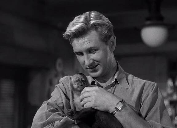 Fotky | Lloyd Bridges | Rikrek.com