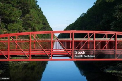 Stock fotografie Červený Most Přes Kanál Lemovaný Stromem – stáhnout obrázek nyní - Florida - Jihy spojených států amerických, Palm Coast, Borovice