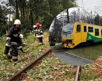 Pociąg wjechał w powalone drzewo, które leżało na torowisku. Doszło do uszkodzenia lokomotywy