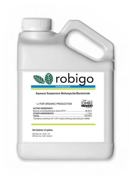 Store 2 — Robigo