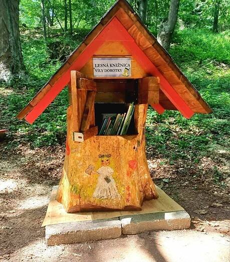 DO FÉNIX Bardejov – Detská organizácia FÉNIX, o.z.
