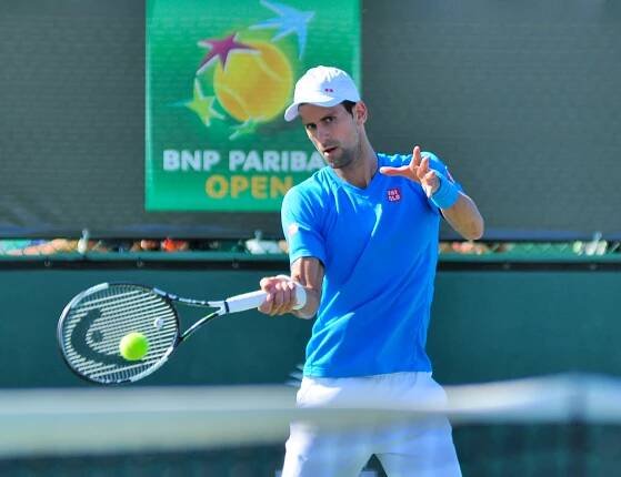 Soubor:Novak Djokovic (16218600833).jpg – Wikipedie