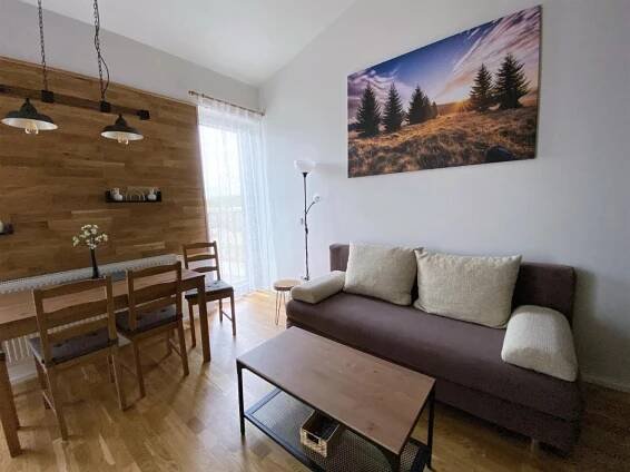 Miky Apartmán Klínovec view Loučná pod Klínovcem Exteriér fotografie