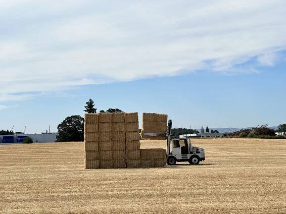 Stacking Hay