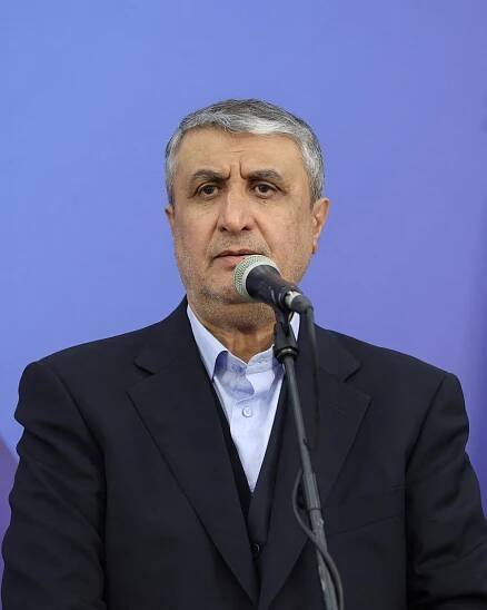 Iran is looking to restore its nuclear industry, Iran's nuclear chief says