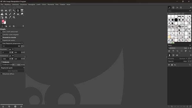 GIMP