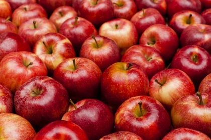 detail červených královských gala jablek - apple - stock snímky, obrázky a fotky