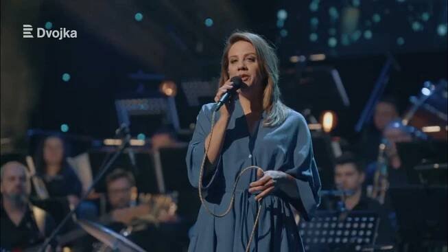 Koncert Petr Hapka 80