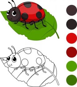Vektorové ilustrace dětí omalovánky, ladybug kreslené — Ilustrace