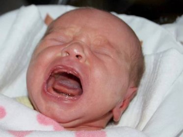 HLASUJTE o nejhezčí miminko 22. týdne 2015