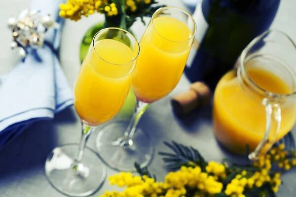Mimosa small