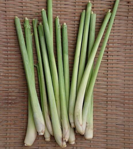川辺農園のアジア野菜とハーブ - 新鮮アジア野菜の川辺農園