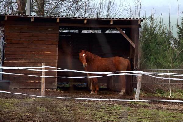 Opékání buřtů na zřícenině hradu Buben, přehrada Hracholusky