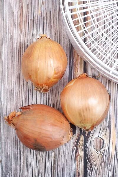 Three onions and dehydrator tray.