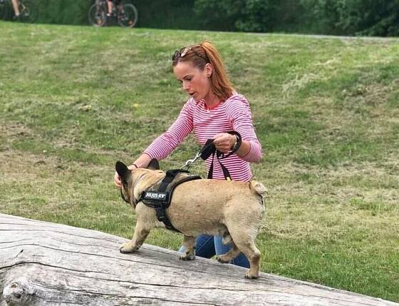 Život mezi psy - Simona Vykouková foto 4
