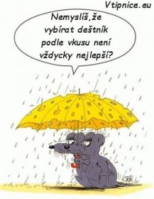 Sýrový deštník - Vtipnice.eu