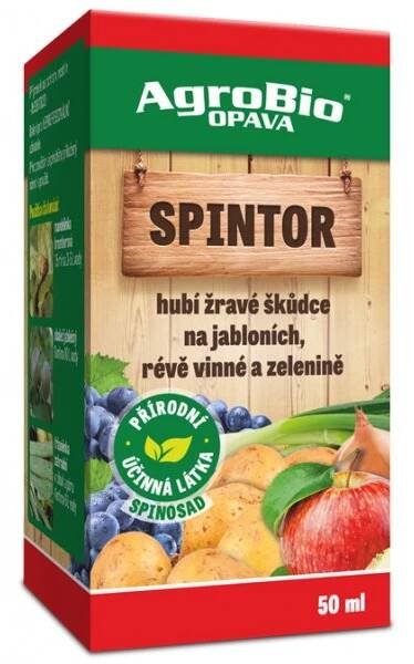 Spintor 