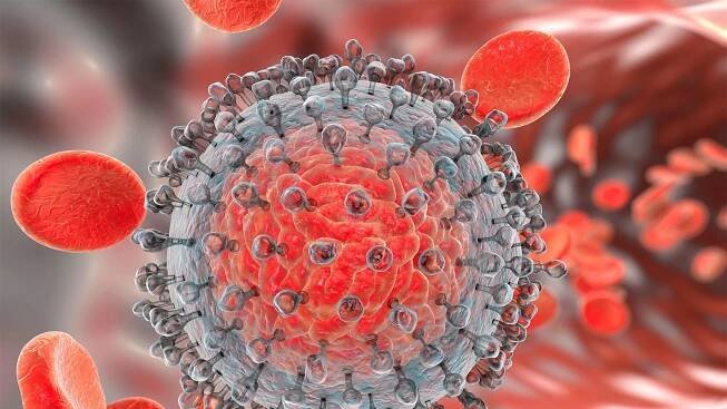 A computer rendering of a hepatitis C virus in the bloodstream.
