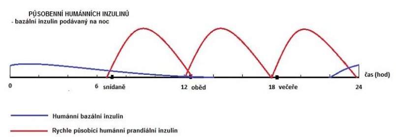 Typy inzulinu a jejich odlišné působení | cukrovka