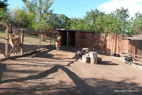 Zoopark Zájezd | Farmy, ZOO, jízdy na koních