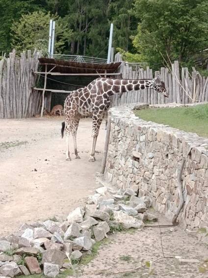 Výlet do Zoo Jihlava - Oficiální stránky městys Sepekov