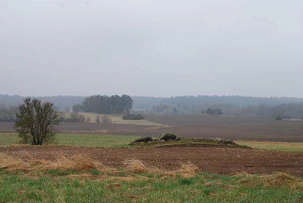 Soubor:Pechova Lhota (Hrejkovice) 064.jpg