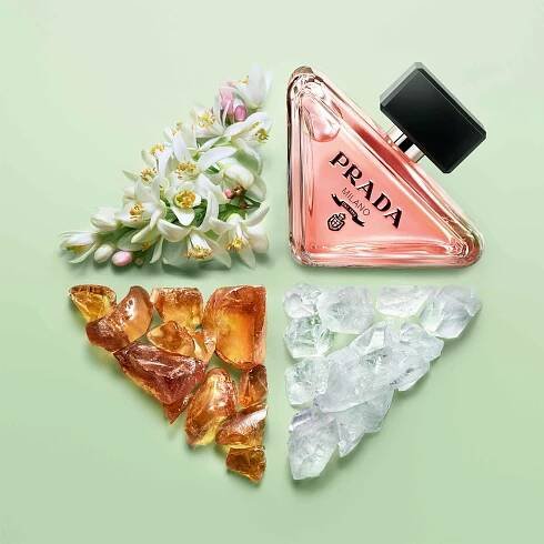 Prada Paradox - FAnn parfumerie