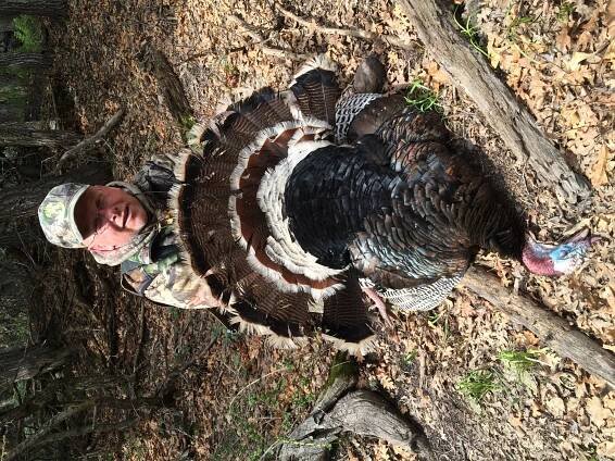 TURKEY HUNTS | Rocky Mountain Roosters
