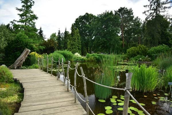 Botanická zahrada Troja – Turisticky gurman