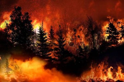 Požáry na jihu Evropy nejsou náhoda. Příroda za to nemůže. Velké odhalení