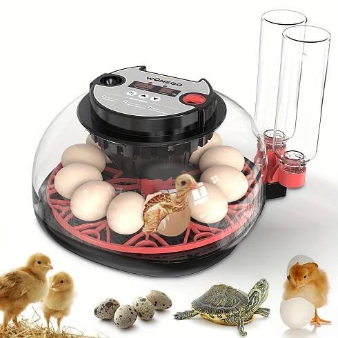 Smart Incubator for Hatching Chicken Eggs (With Automatic Egg Turner) Suitable for Small Poultry Like Ducks And Quails, * of * 12 Chick