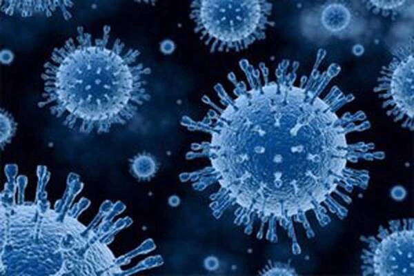 Známky, příznaky a genotypy hepatitidy C, příčiny infekce / Hepatitida | Užitečné informace a tipy na péči o sebe. Zdraví