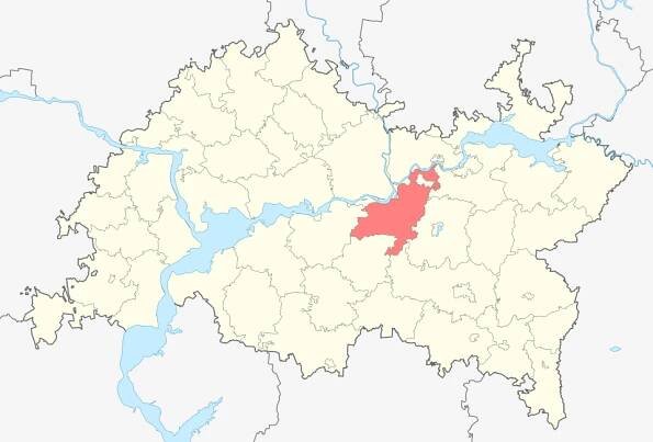 Nizhnekamsky District - Wikidata
