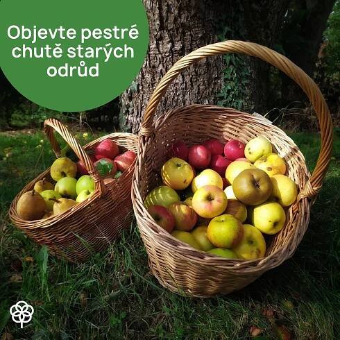 Domov stromů - Školka Bílé Karpaty