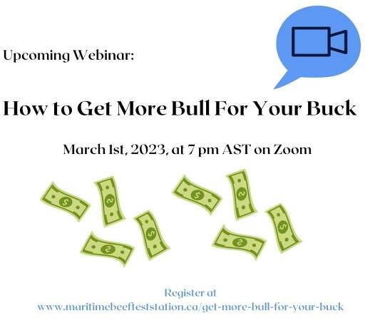 Get More Bull for Your Buck – Webinar – Maritime Beef Test Station