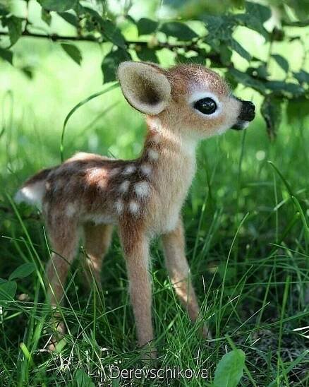 a small deer is standing in the grass