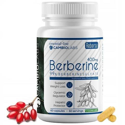 BERBERIN HCL na hubnutí 400 mg, 99% Extrakt - Inzulínová rezistence