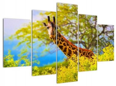 Obraz žirafy v Africe (V023370V150105)