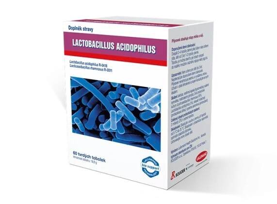 lactobacillus_2022