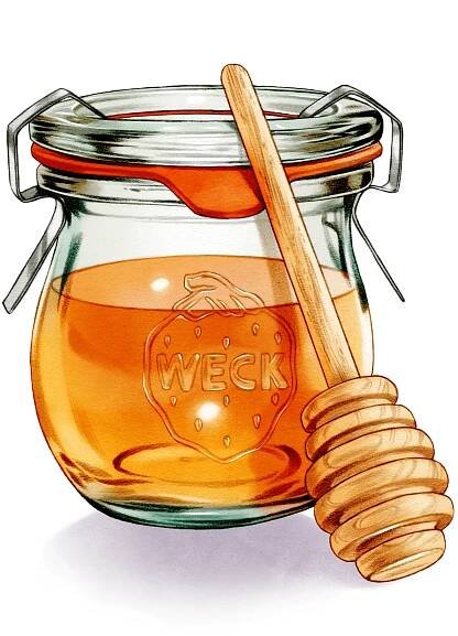 Illustration of honey in Weck jar