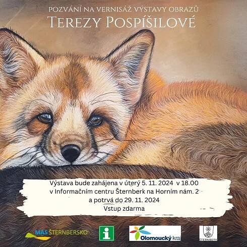 Výstava obrazů Terezy Pospíšilové 1