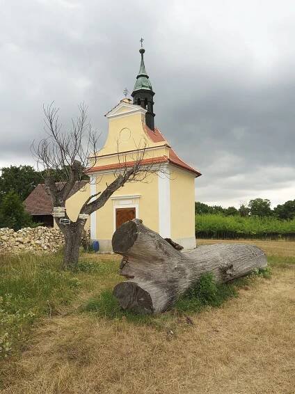 Fotogalerie • Hradiště Dřevíč (Hradiště, tvrziště) • Mapy.com