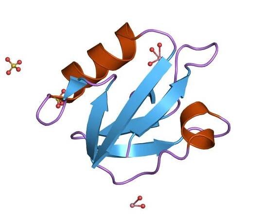 Interleukin 5 receptor alpha subunit